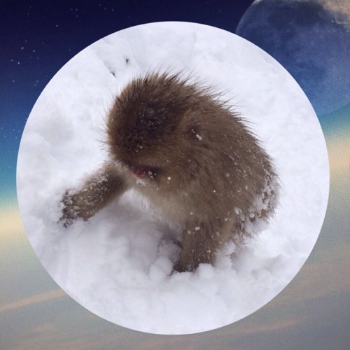 snowsaru