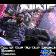 Nine - Pull Up What You Want (Screamix)