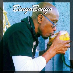 BingoBongo - MY LITTLE ISLAND SKB (Soca)