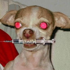 Dogs Game ft. VooDooZomBie