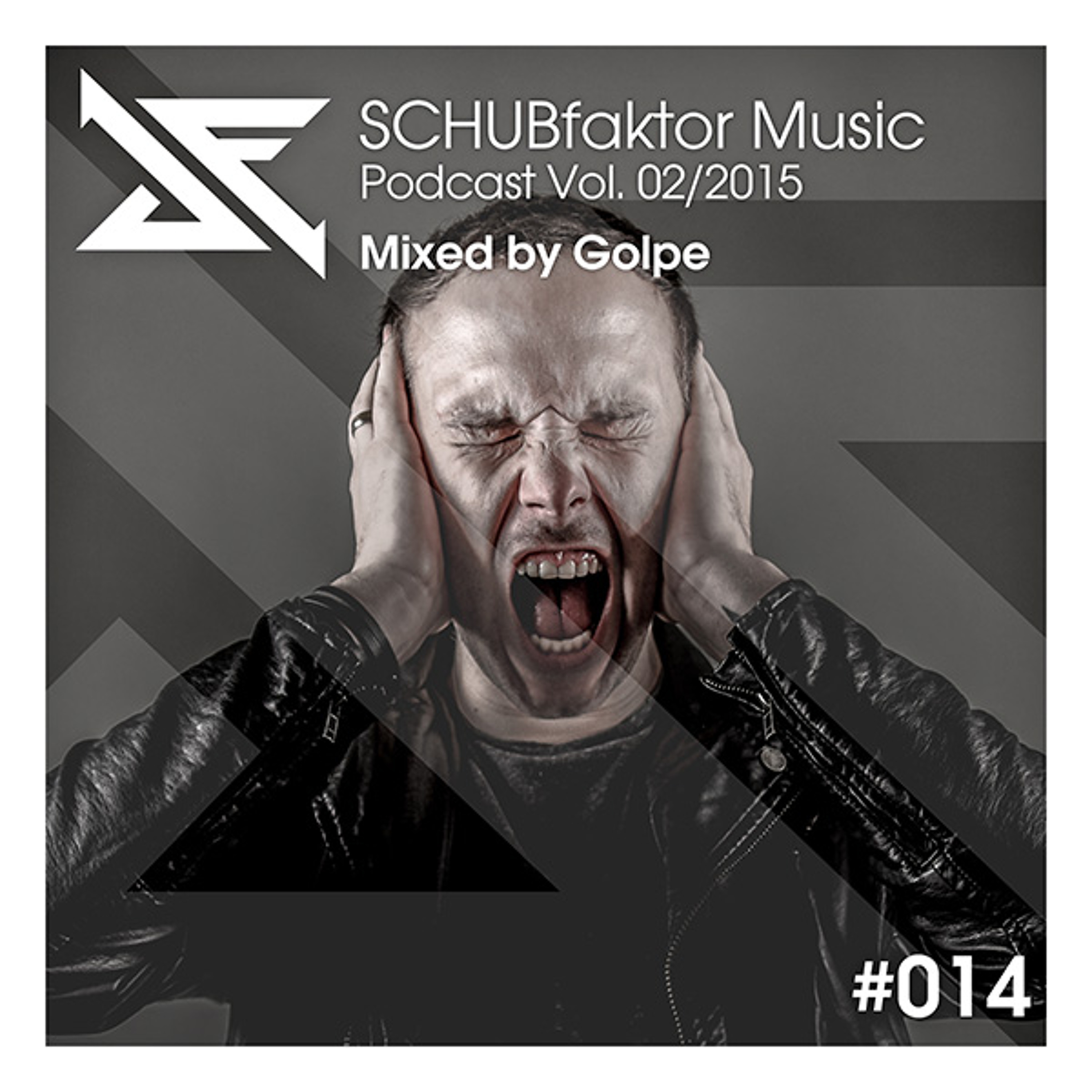 SCHUBfaktor Music
