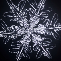 Flocon de neige