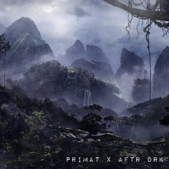 AFTR DRK Guest Mix • PRIMAT