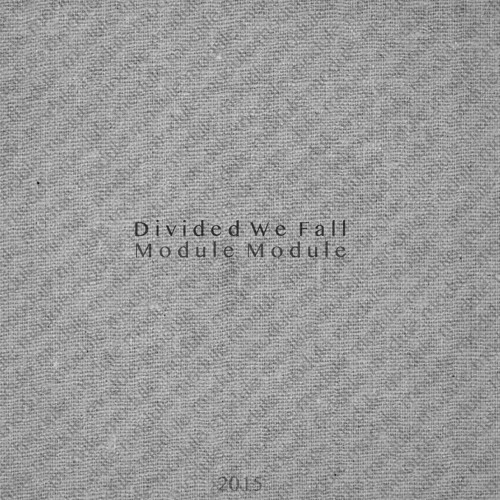 Divided We Fall (Vignette)