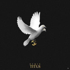 HUCCI - Wings (TITUS Remix)