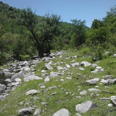 Bersuit Vergarabat - Caroncha