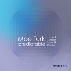 Moe Turk - Predictable (Original Mix)
