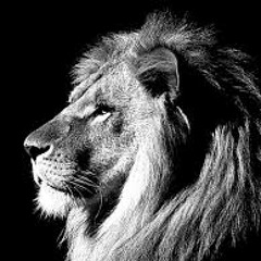 Coferchronix- Throw That Ass In A Circle Freestyle. (PREY)