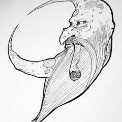 The Bearded Moons - Turn Down Your Voices