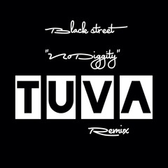Blackstreet- No Diggity (Tuva Remix)