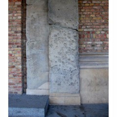 oldies (adapt or die)