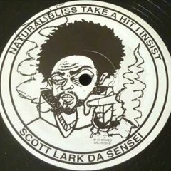 Scott Lark Da Sensei - Insight (Soul Selektor Remix)
