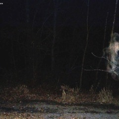 3:00am (a knock on your window)