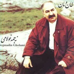 Najmadin gholami_gerdin zerd