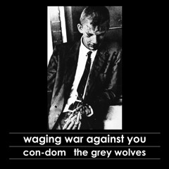 CON-DOM + GREY WOLVES - Waging War Against You (excerpts)