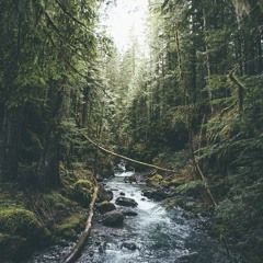 Stwo - Eden ( Anwe Remix )