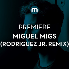 Premiere: Miguel Migs feat Mishel N 'What Do You Want' (Rodriguez Jr remix)