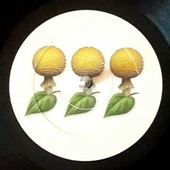 DecadentFungibyKongisto (A Mushroom Jazz Tribute)