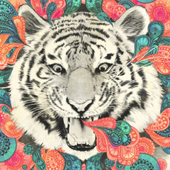 Billy D. Tiger - (Prod. Kevin Agnes/Pátio Vazio)