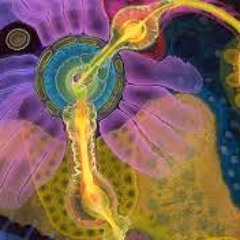 Mod. Psychedelic 2.0