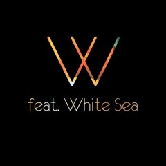 Man Without Country feat. White Sea - Laws Of Motion (Sebastien Radio Edit)