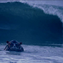 Relaxed Now Waves