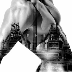 07 - Carnera - 07 - Elettromeccanica Italica