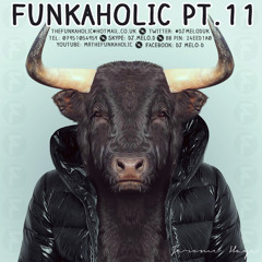 Funkaholic PT.11