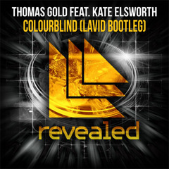 Thomas Gold Feat. Kate Elsworth - Colourblind (Lavid Bootleg)
