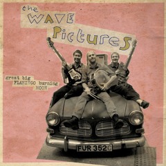 The Wave Pictures-Pea Green Coat