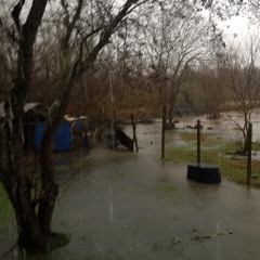 Thursday 01:19 PM, 22i15, a substitute for tears.