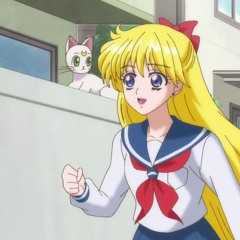 The Story Will Go On