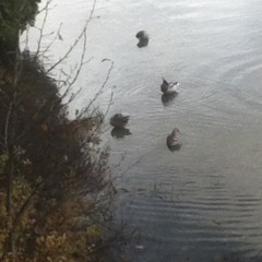 Dreams And Nightmares remix (Meek Mills)