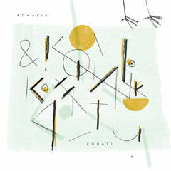 SEKs050 v/a "Kohalik ja kohatu 4" - Leikki "Valus Süda" (2015)