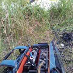 Koncert żab - Concert of frogs