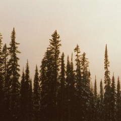 Do Me A Favour - Arctic Monkeys