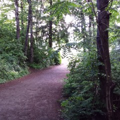 Catching the beansprout