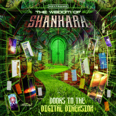 The Wisdom of Shankara - Doors to the Digital Dimension