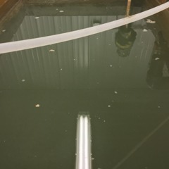 Wastelind - Effluent