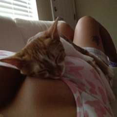 04 - Union With The Feline