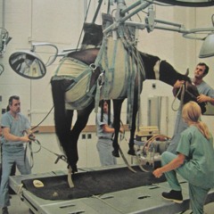 Sueños De La Via Lactea