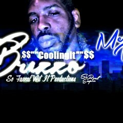 T.Brizzo Hustle Swagg Gang