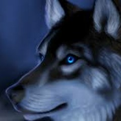 Down & Out - J-Centric