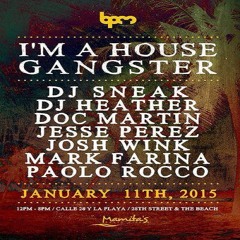 Josh Wink Live at Mamita's Beach Club for The BPM Festival 2015 1/11/15