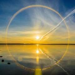 Reflections - Tim Janis