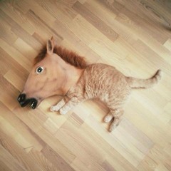 Chilled Out To The Max