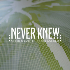 Never Knew (Ft. Si Schroeder)