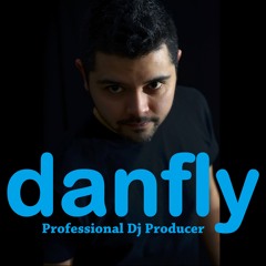 The Black Keys - Lonely Boy (danfly Remix)