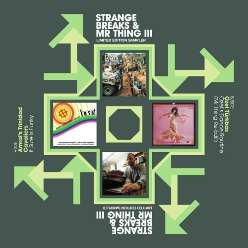 Özel Türkbas - Ozel's Dance Routine (Mr Thing Mix)