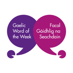 Gaelic Word of the Week 83 - Haggis, Neeps and Tatties - Taigeis, Sneap is Buntàta